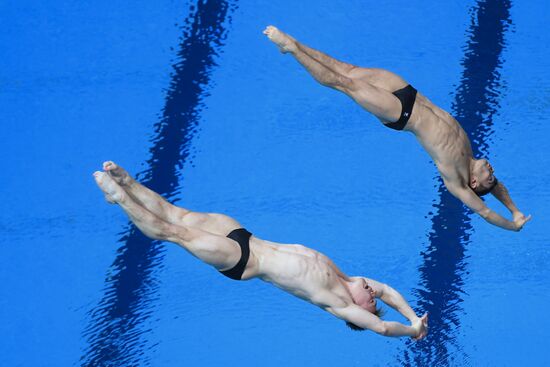 Прыжки в воду. Мировая серия FINA. Первый день 