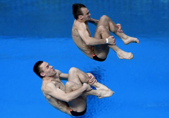 Прыжки в воду. Мировая серия FINA. Первый день 