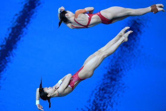 Прыжки в воду. Мировая серия FINA. Первый день 
