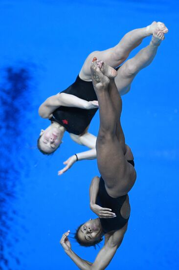 Прыжки в воду. Мировая серия FINA. Первый день 