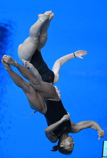 Прыжки в воду. Мировая серия FINA. Первый день 