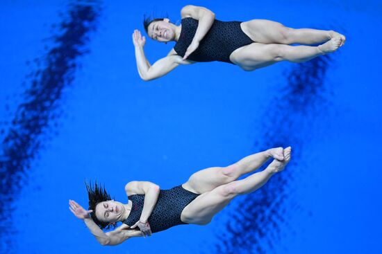 Прыжки в воду. Мировая серия FINA. Первый день 