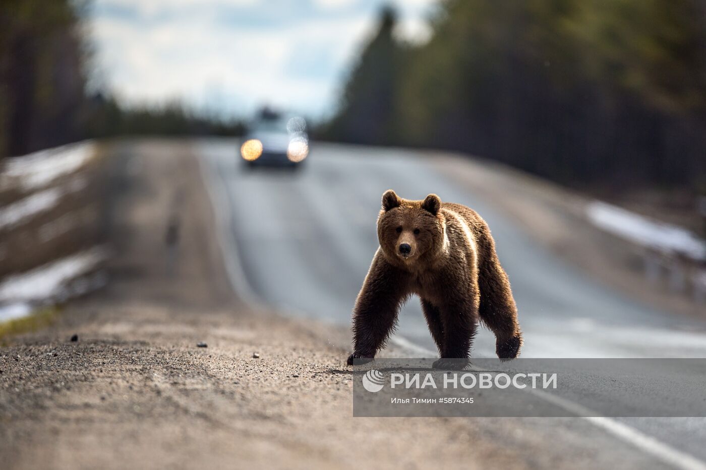 Регионы России. Карелия