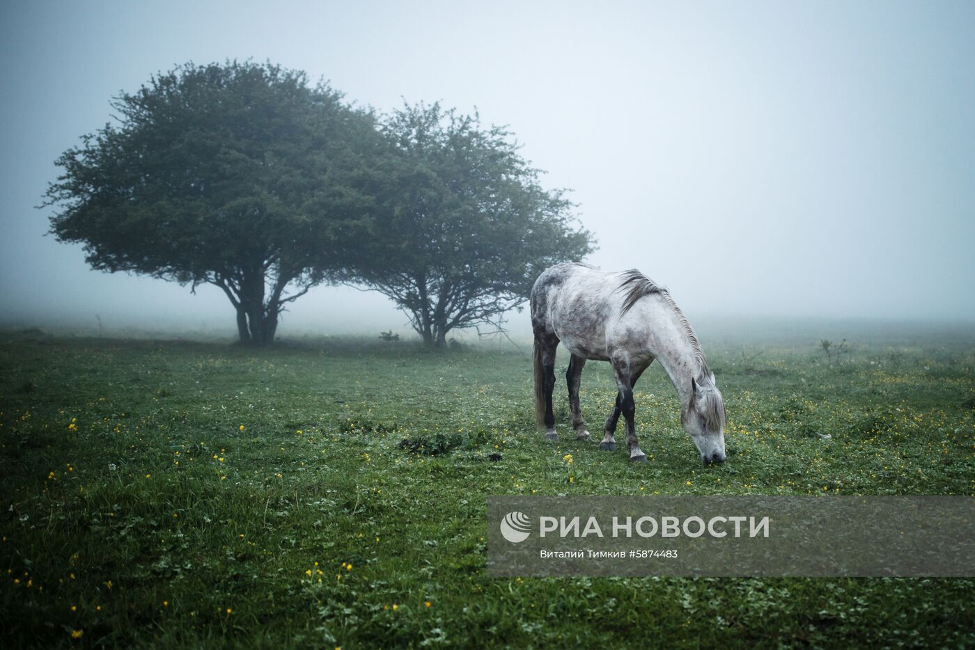 Регионы России. Республика Адыгея