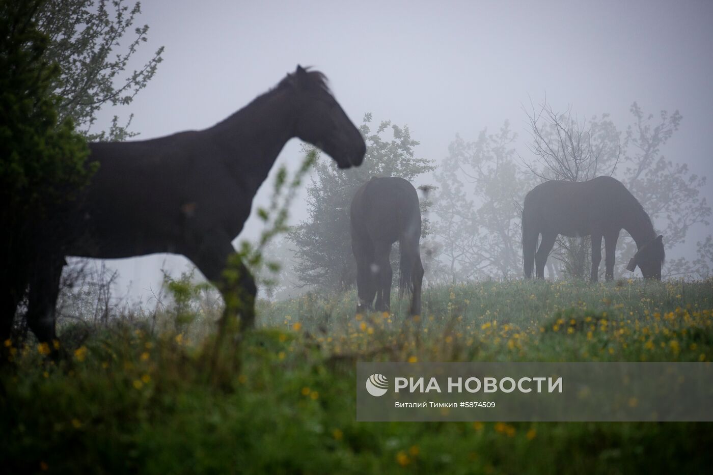 Регионы России. Республика Адыгея