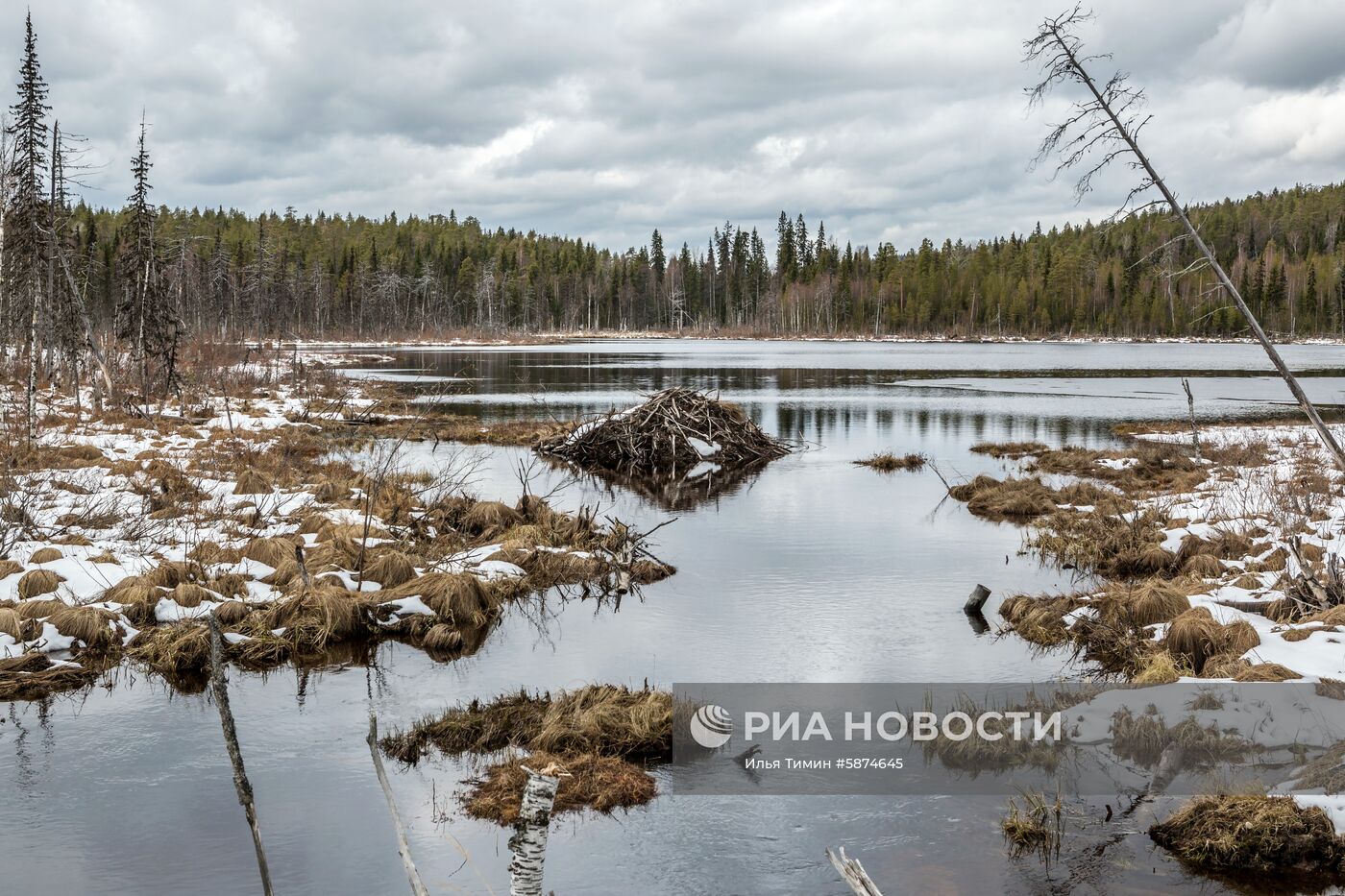 Регионы России. Карелия