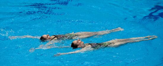 Синхронное плавание. Кубок Европы. Дуэт. Техническая программа