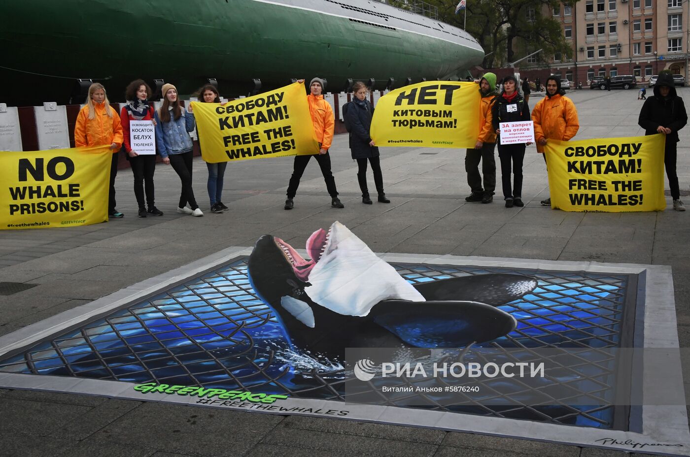 Пикет в защиту косаток и белух в бухте Средняя