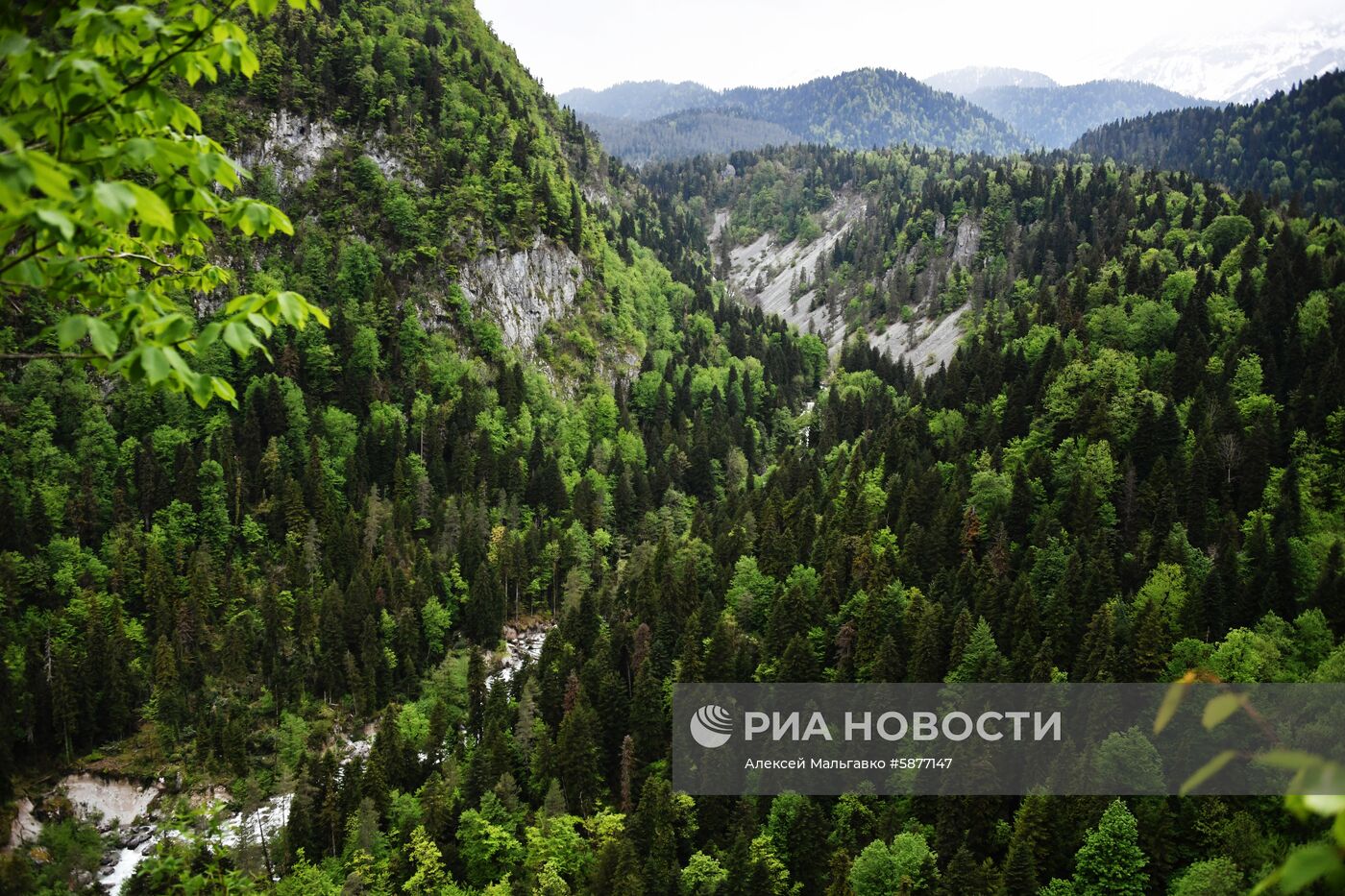 Страны мира. Абхазия