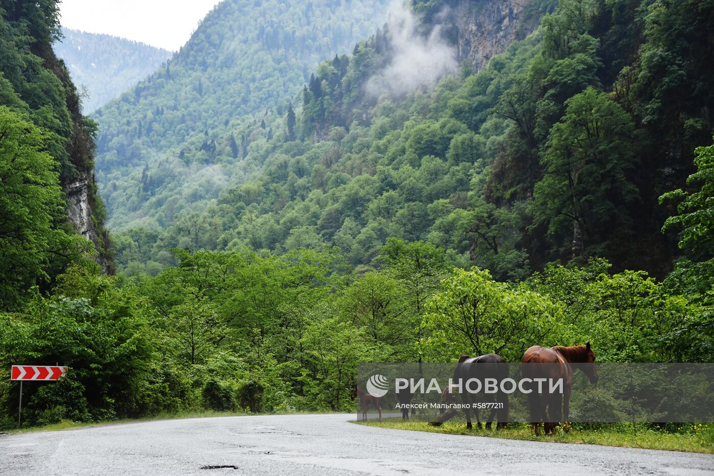 Страны мира. Абхазия