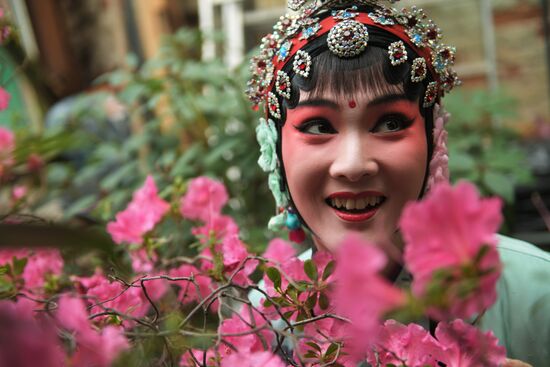 Спектакль "Пионовая беседка" в рамках Чеховского фестиваля