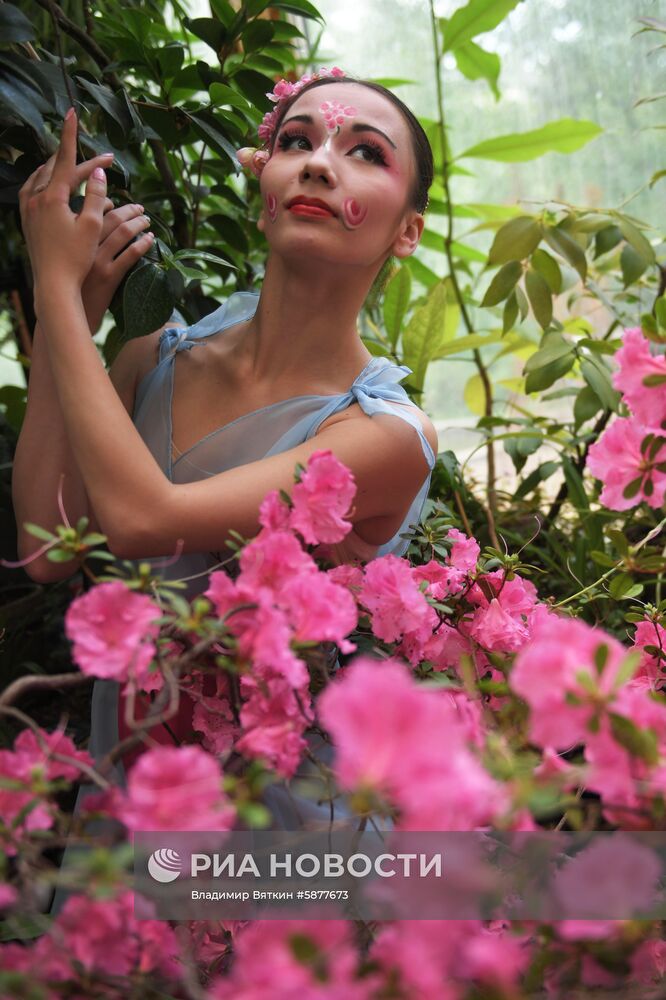 Спектакль "Пионовая беседка" в рамках Чеховского фестиваля