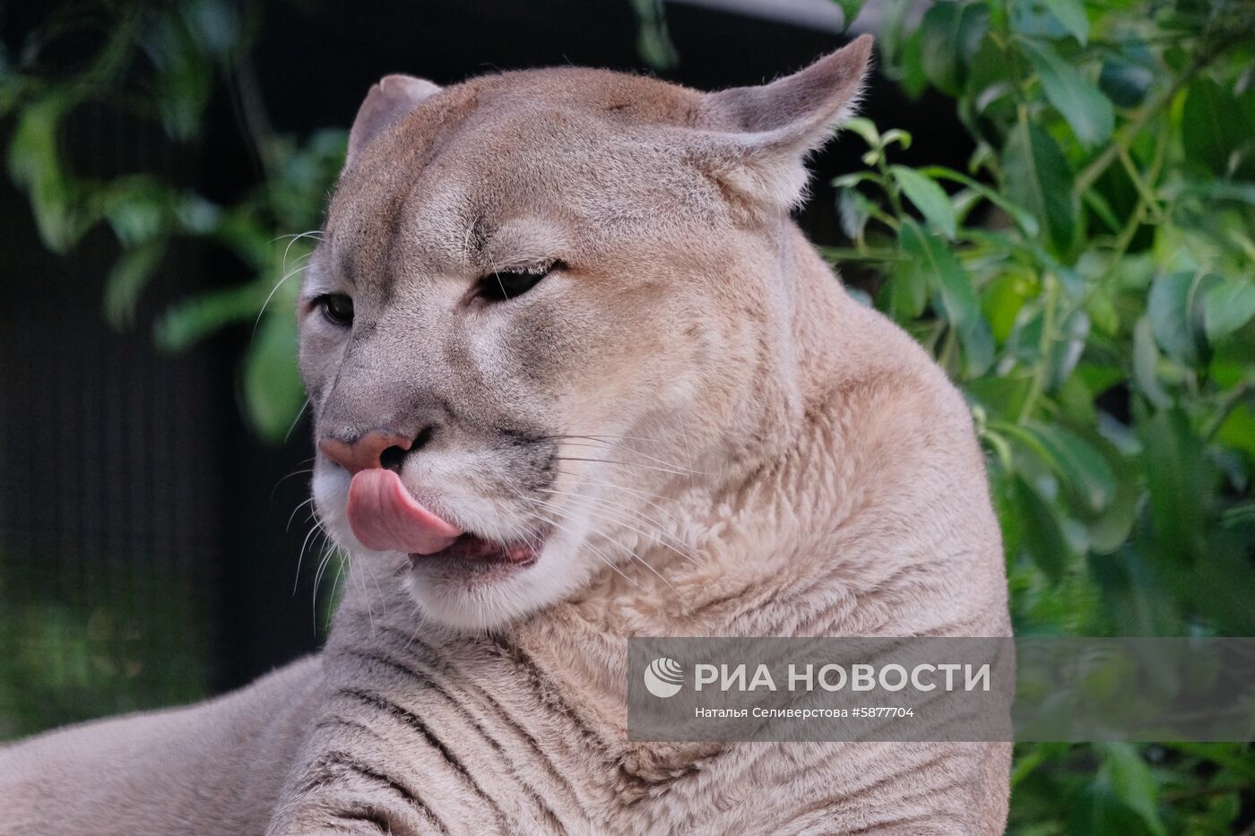 Обитатели Московского зоопарка