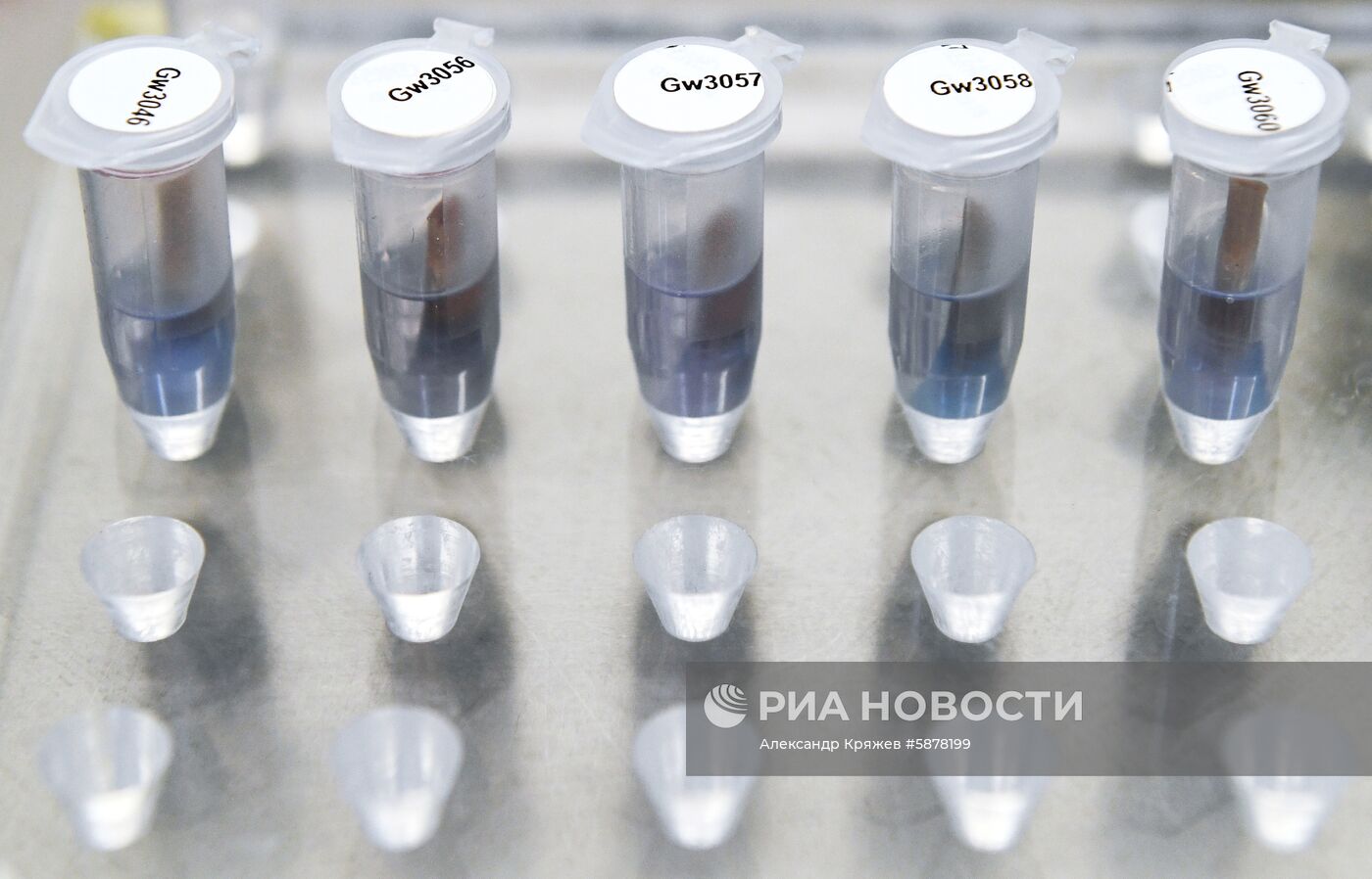 Технопарк Новосибирского Академгородка