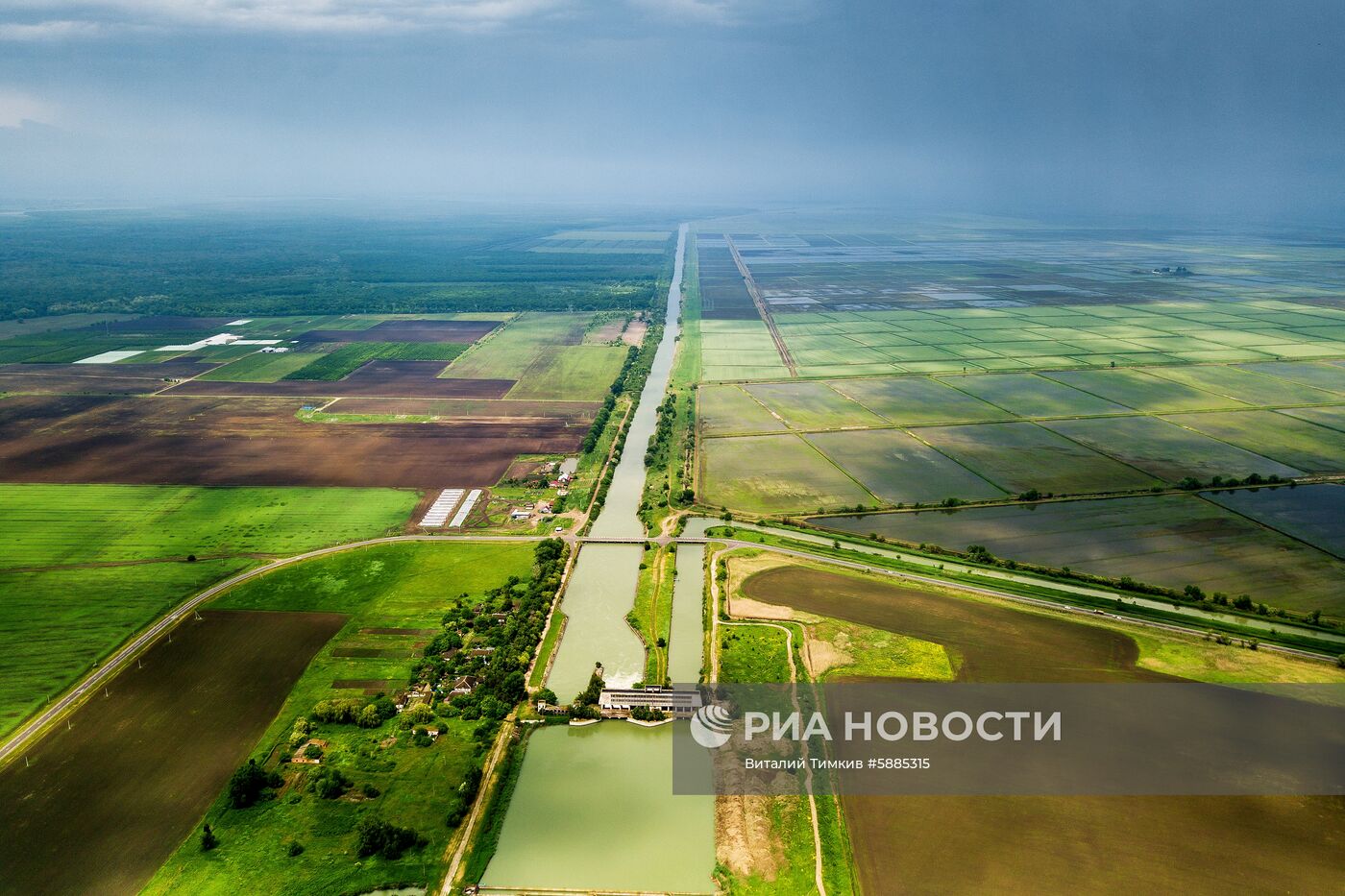 Выращивание риса в Краснодарском крае