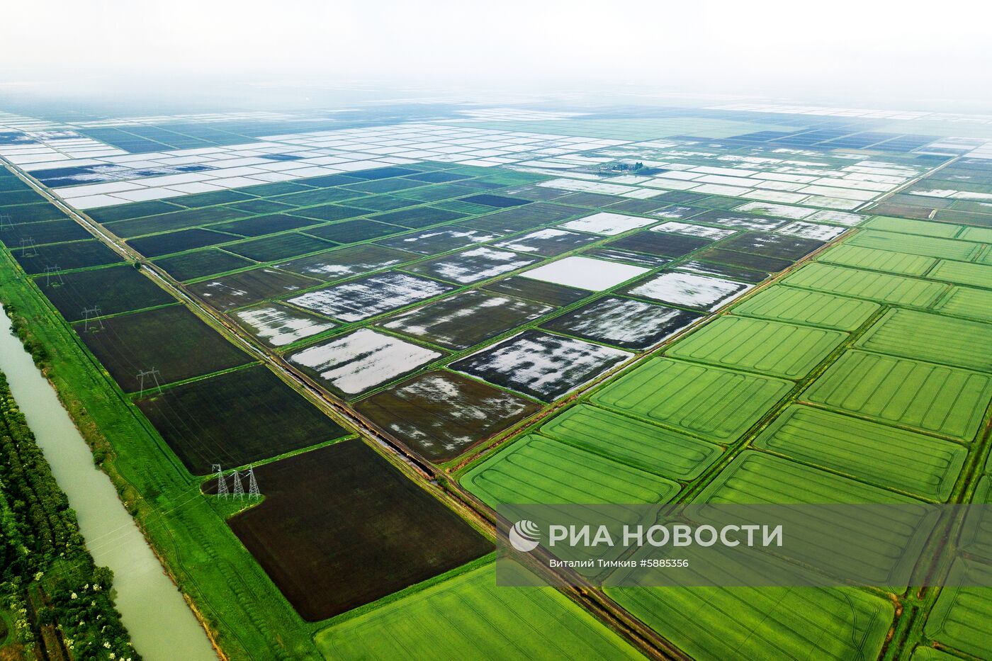 Выращивание риса в Краснодарском крае