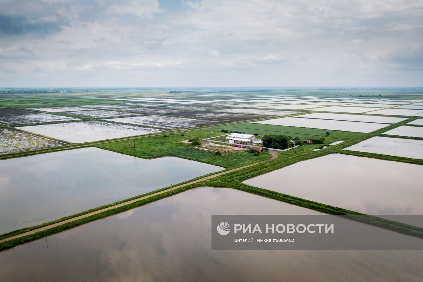 Выращивание риса в Краснодарском крае