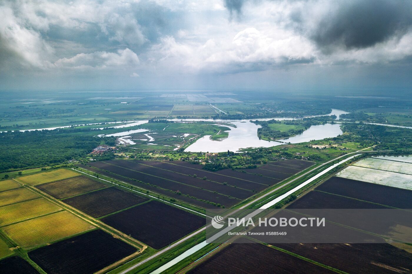 Выращивание риса в Краснодарском крае