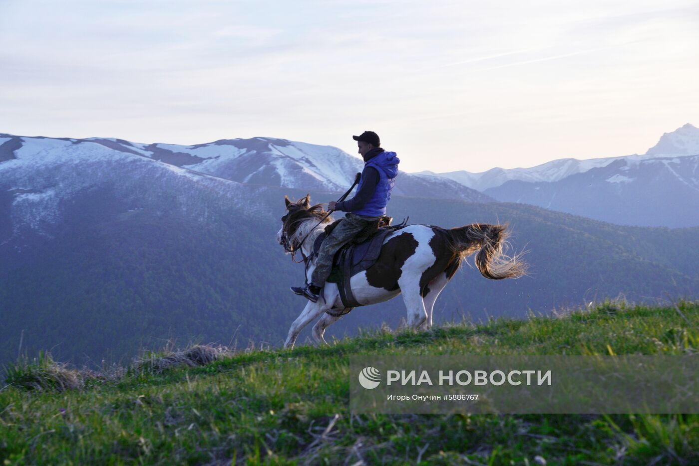 Кавказский заповедник