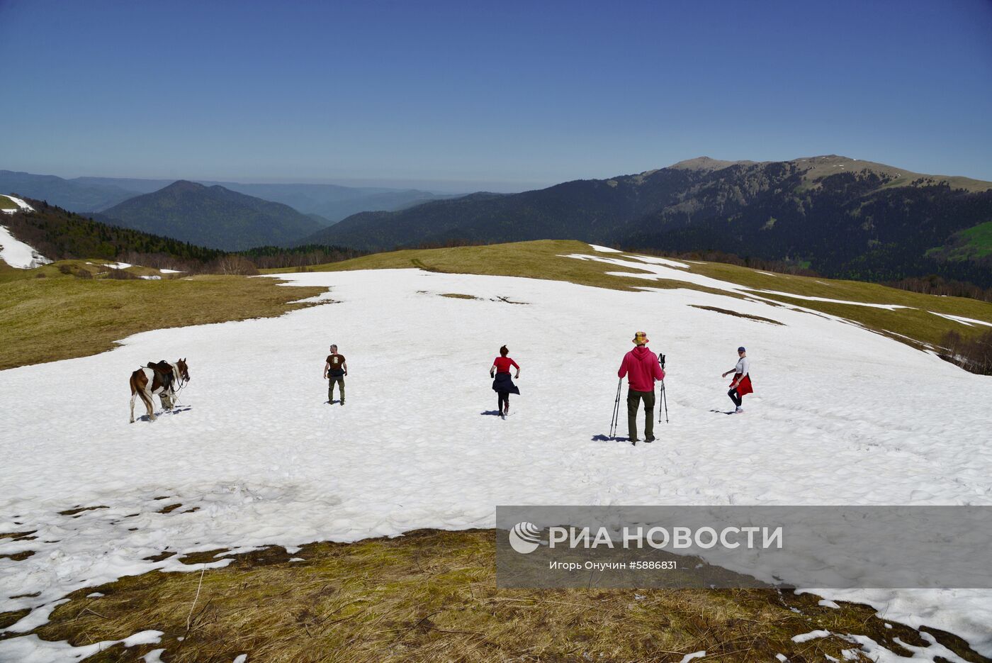 Кавказский заповедник