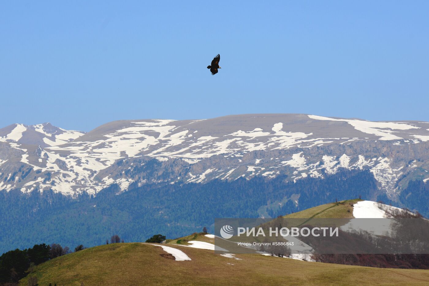 Кавказский заповедник