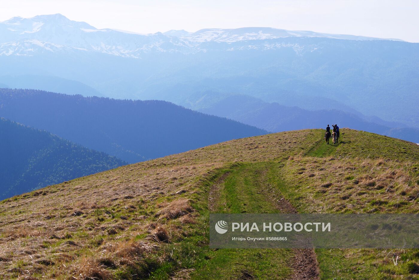 Кавказский заповедник