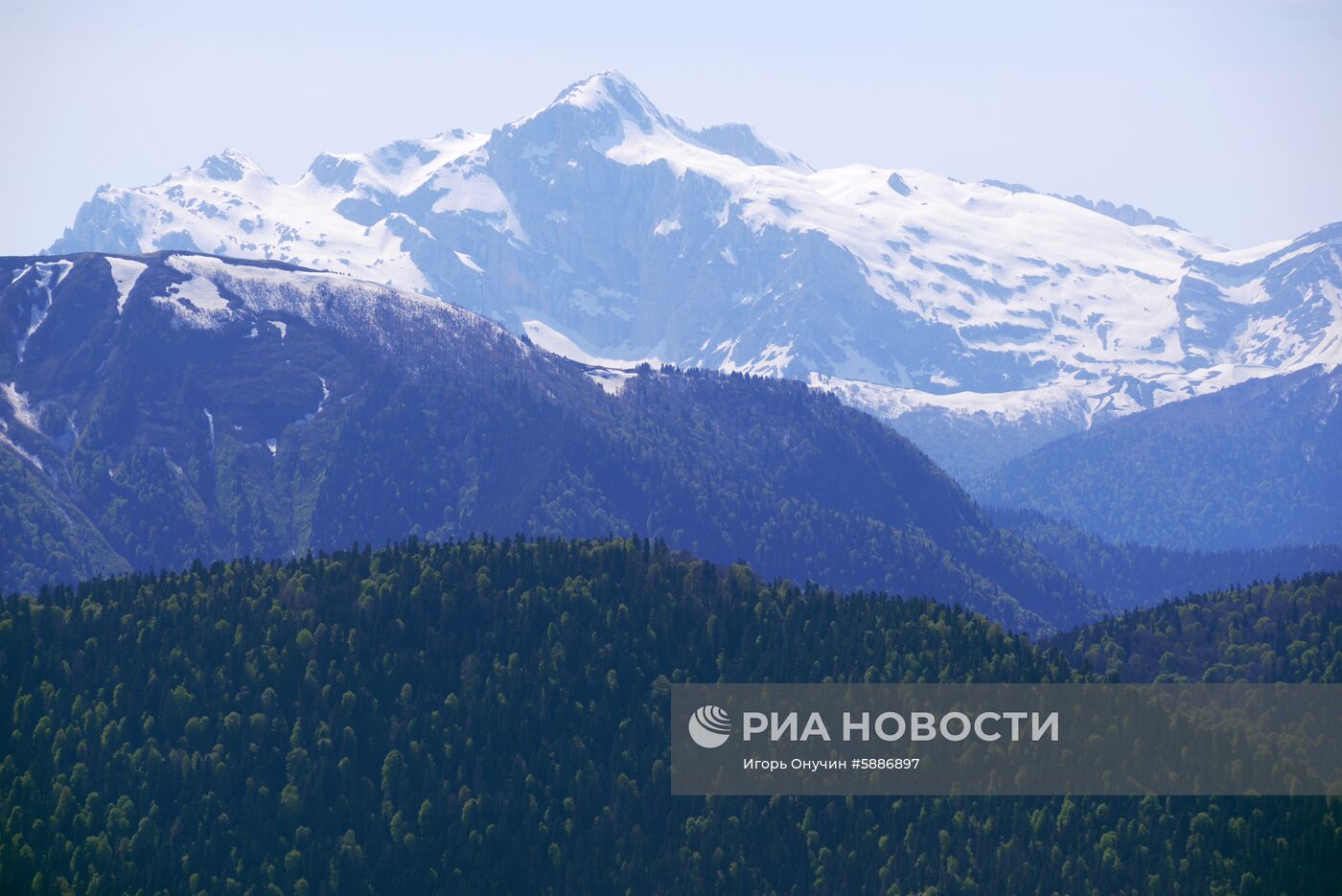 Кавказский заповедник