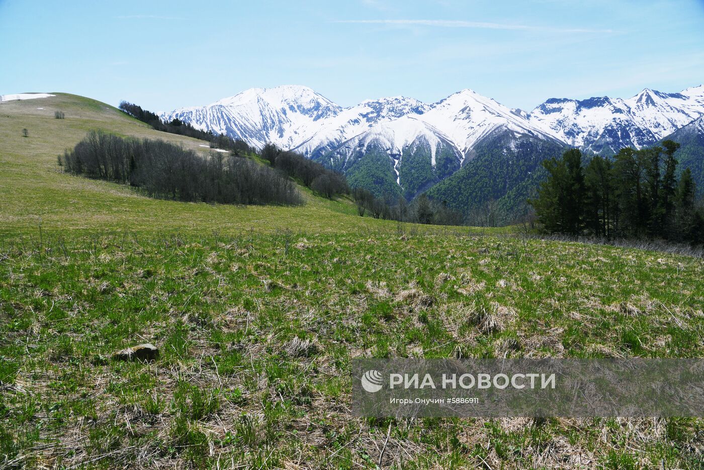 Кавказский заповедник