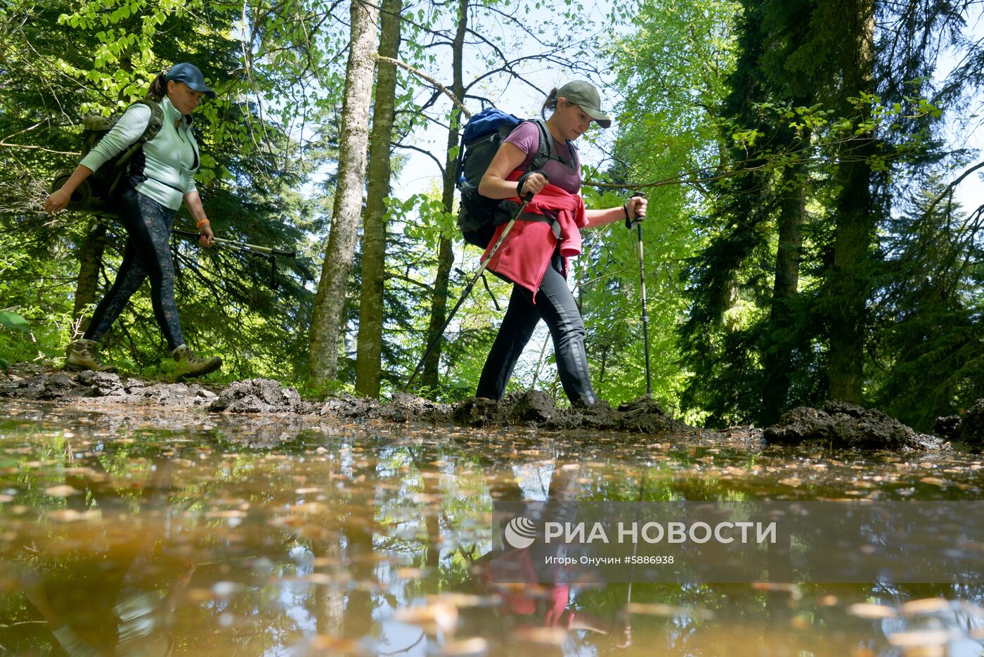 Кавказский заповедник