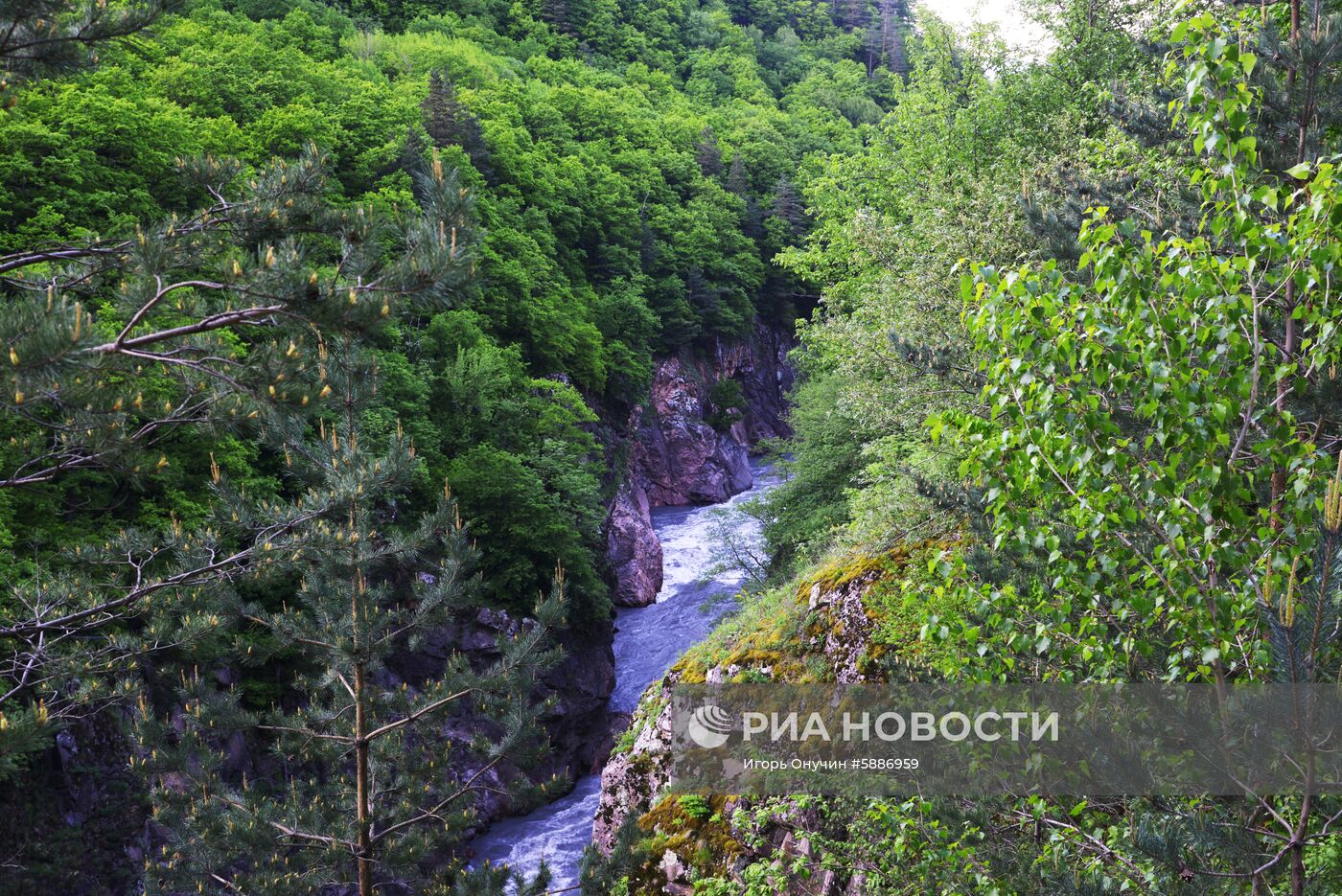 Кавказский заповедник