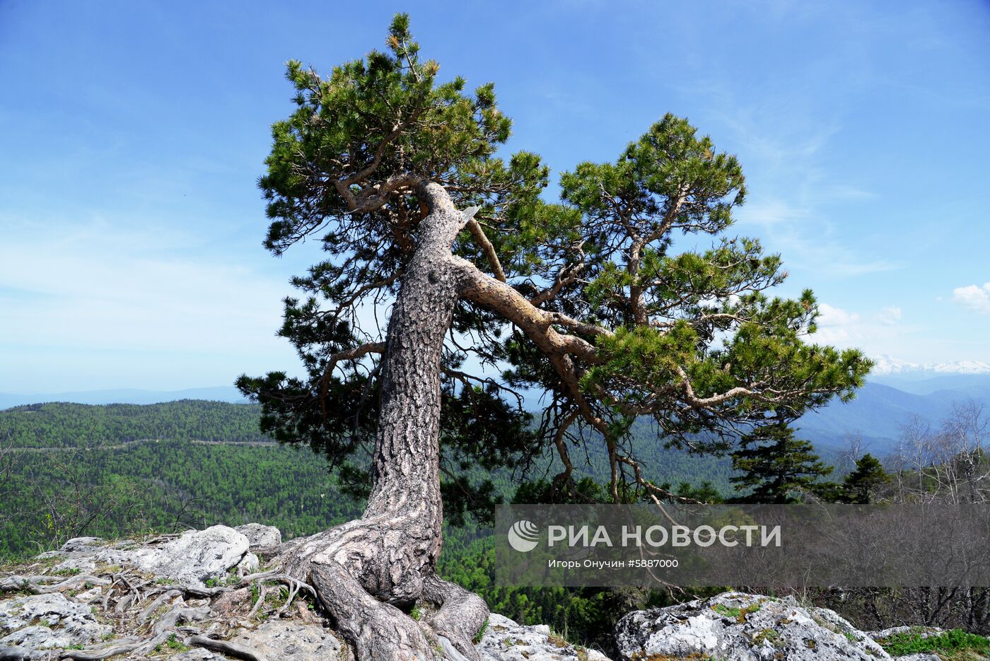 Кавказский заповедник