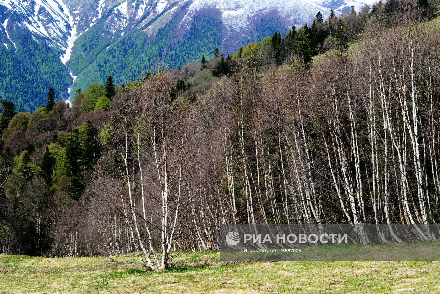 Кавказский заповедник