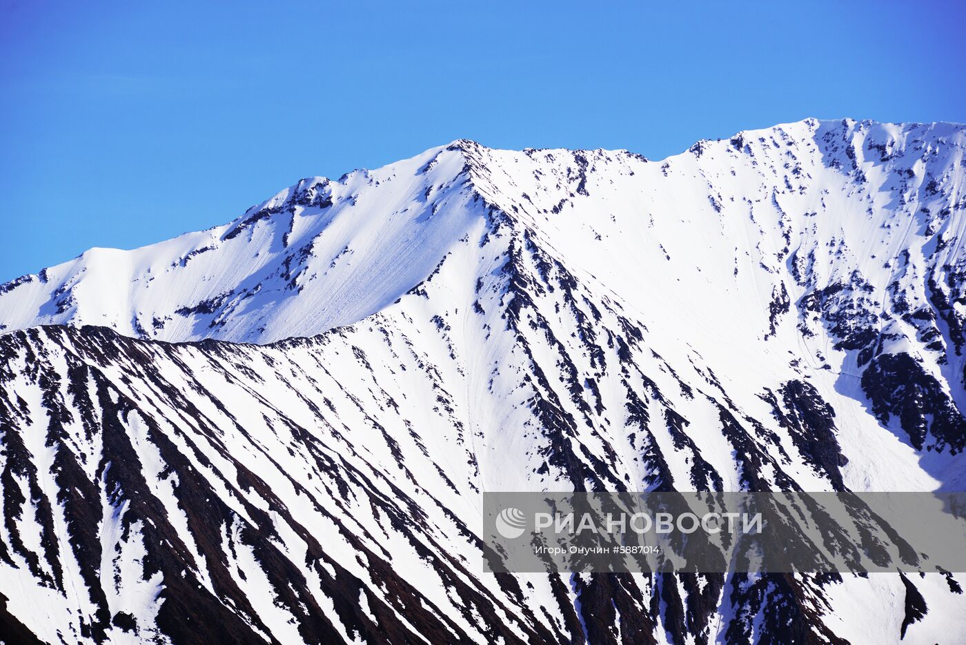 Кавказский заповедник