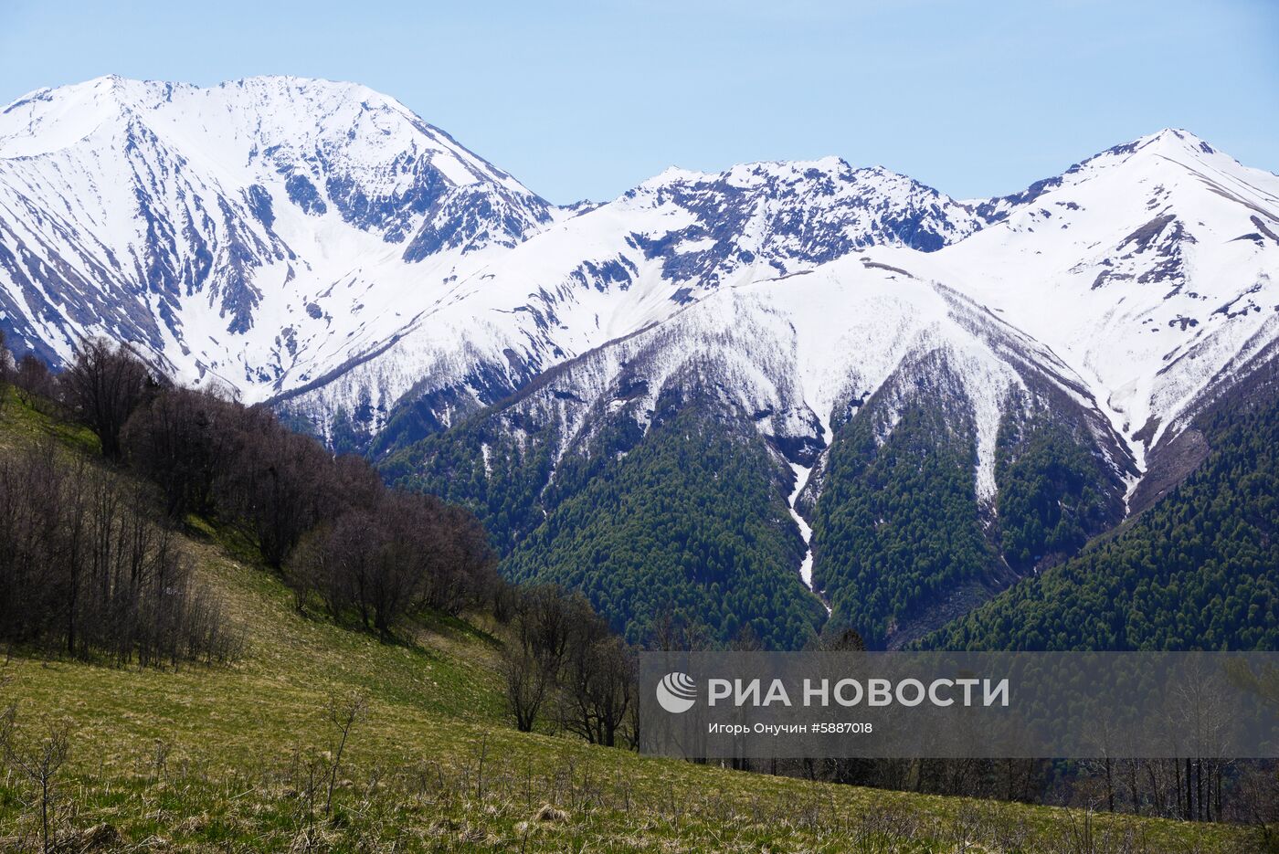 Кавказский заповедник