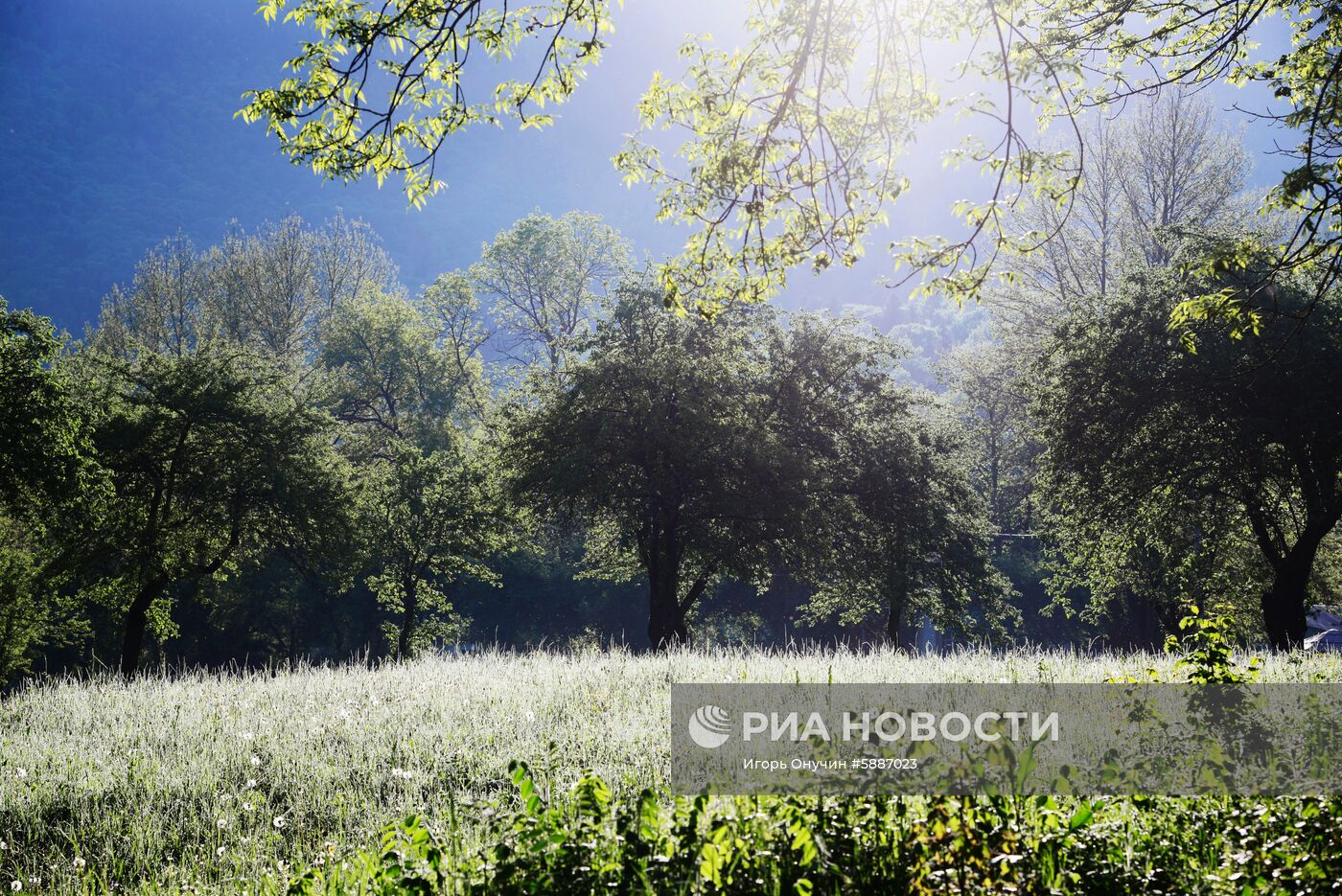 Кавказский заповедник