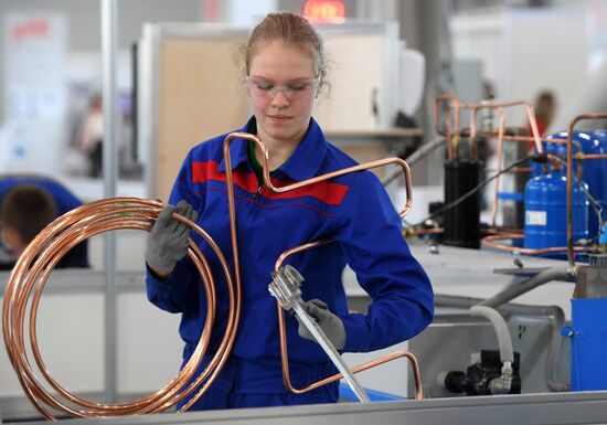 Национальный чемпионат "Молодые профессионалы" (WorldSkills Russia)