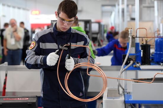 Национальный чемпионат "Молодые профессионалы" (WorldSkills Russia)