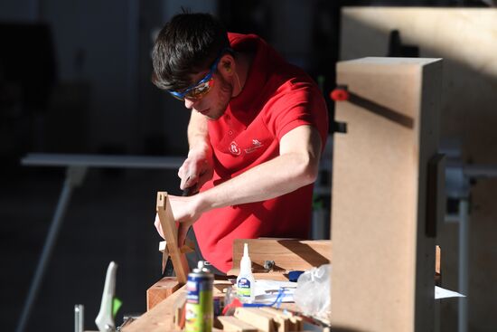 Национальный чемпионат "Молодые профессионалы" (WorldSkills Russia)