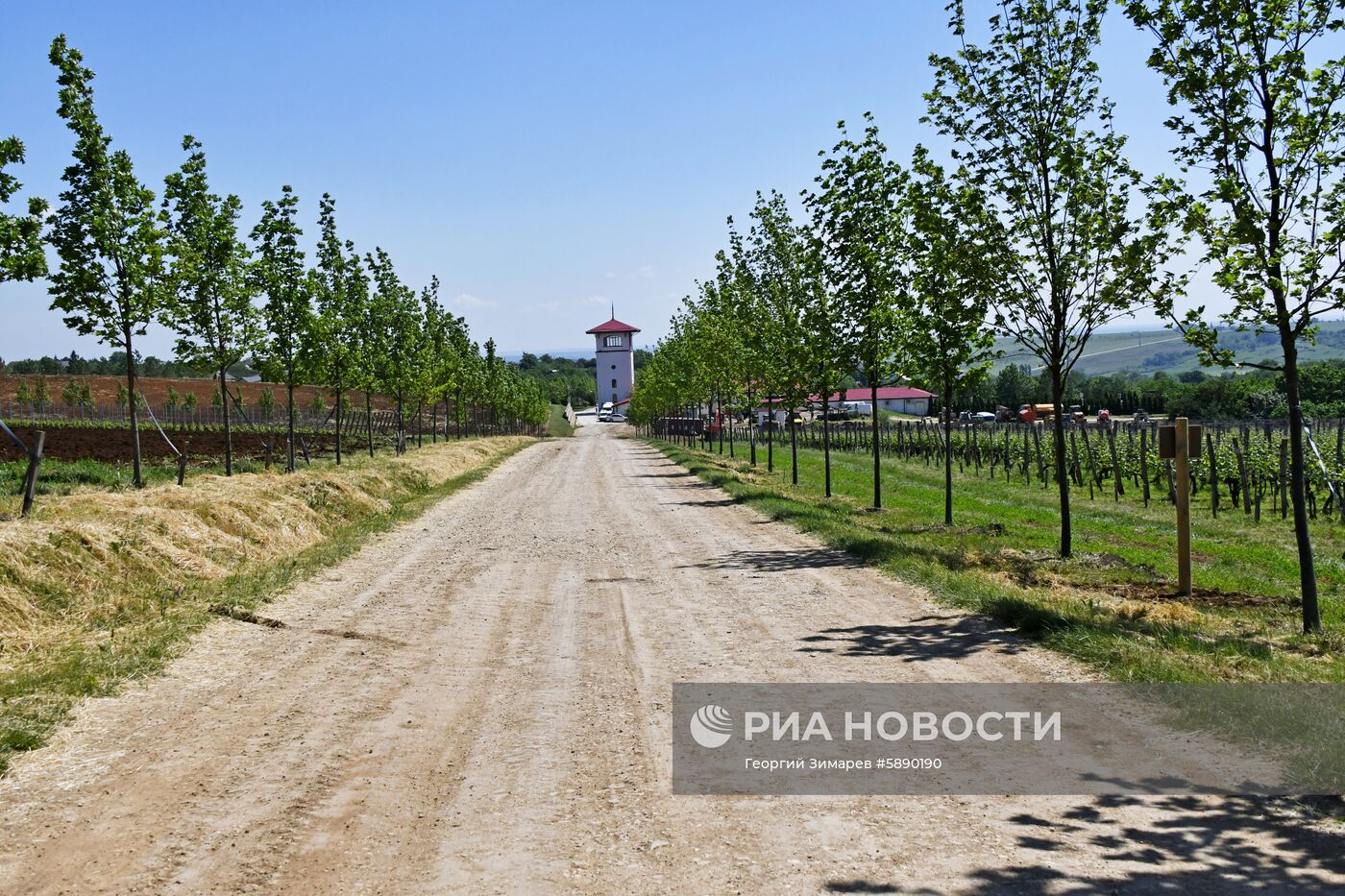 Винодельческое хозяйство "Лефкадия" в Краснодарском крае