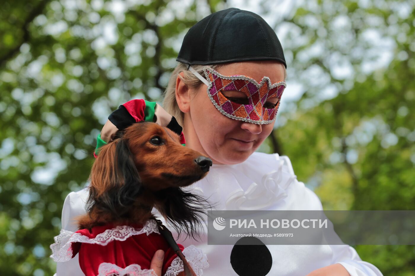 "Такс парад" в Санкт-Петербурге