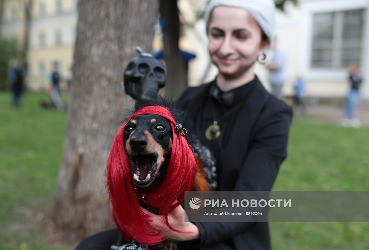 "Такс парад" в Санкт-Петербурге