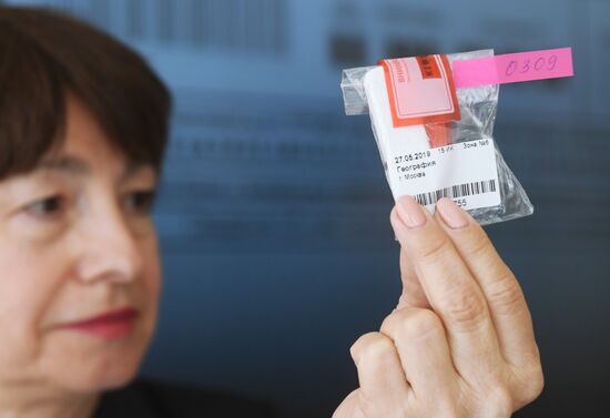 Сдача ЕГЭ по географии и литературе 