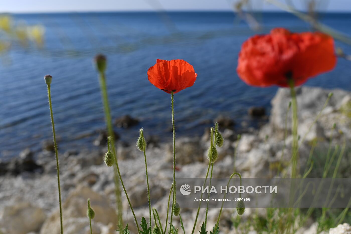 Регионы России. Крым