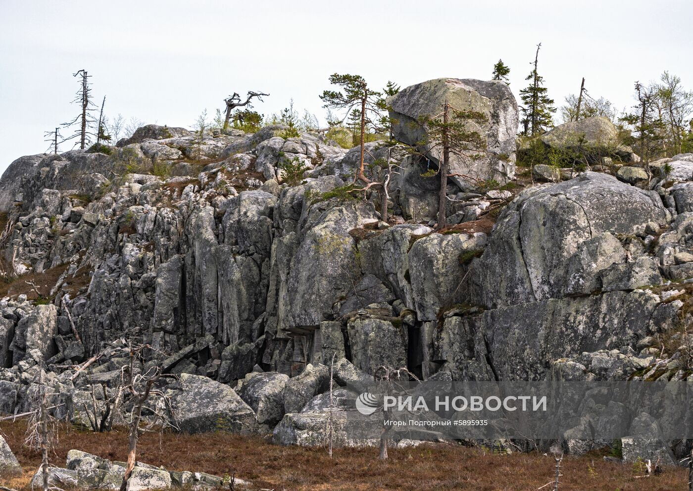 Регионы России. Карелия