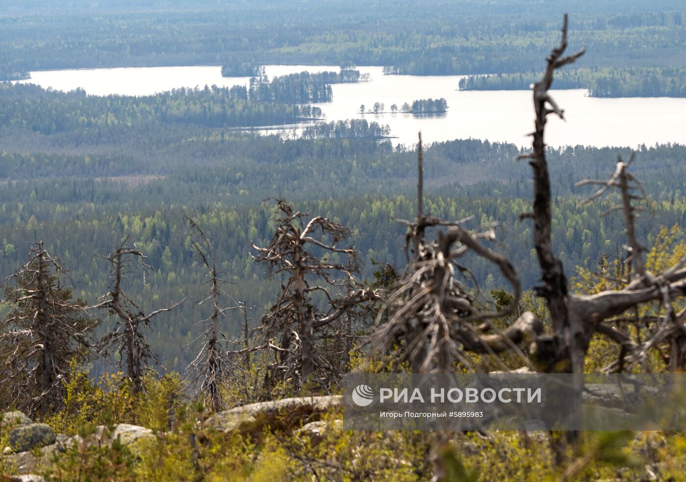 Регионы России. Карелия 