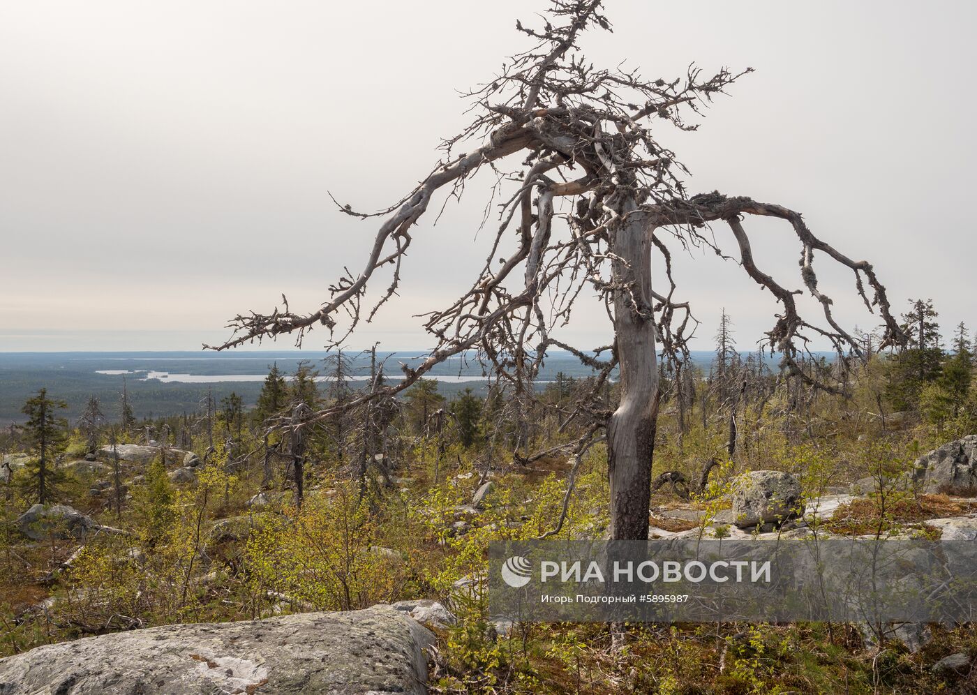 Регионы России. Карелия