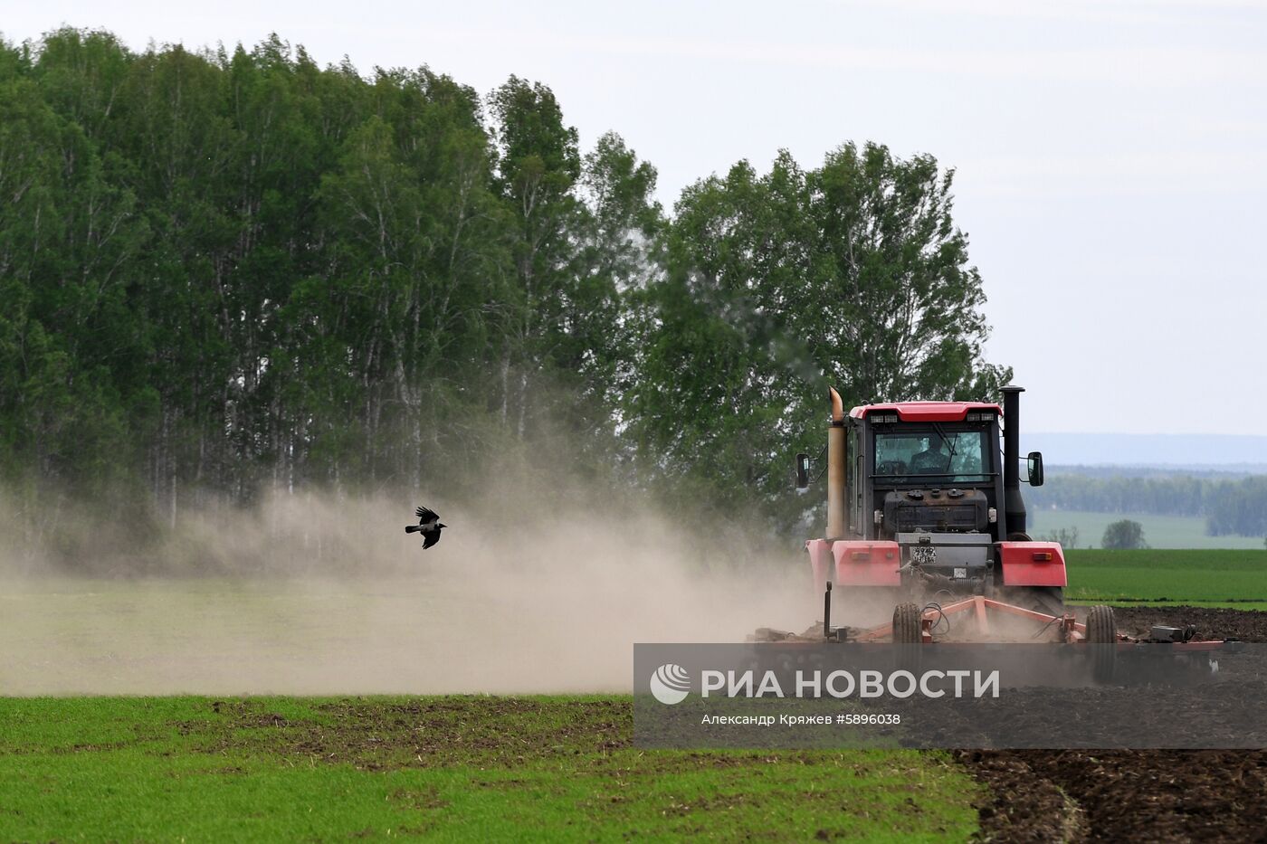 Посевная в Новосибирской области 