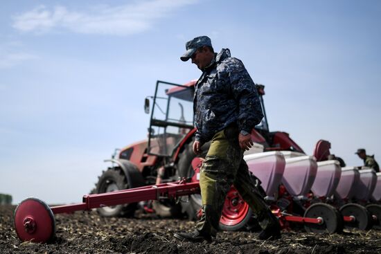 Посевная в Новосибирской области 