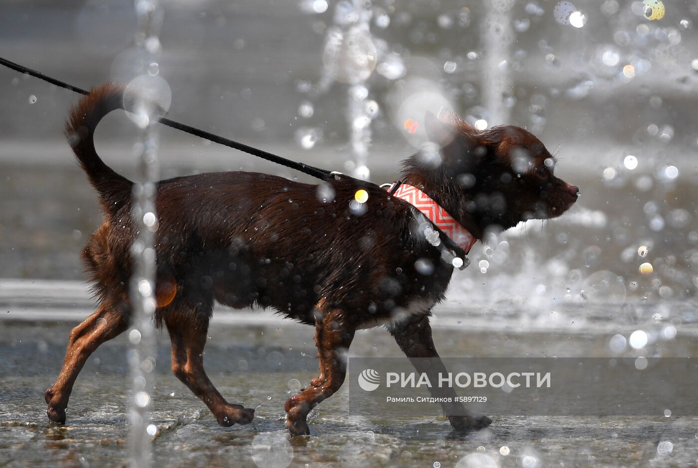 Жара в Москве
