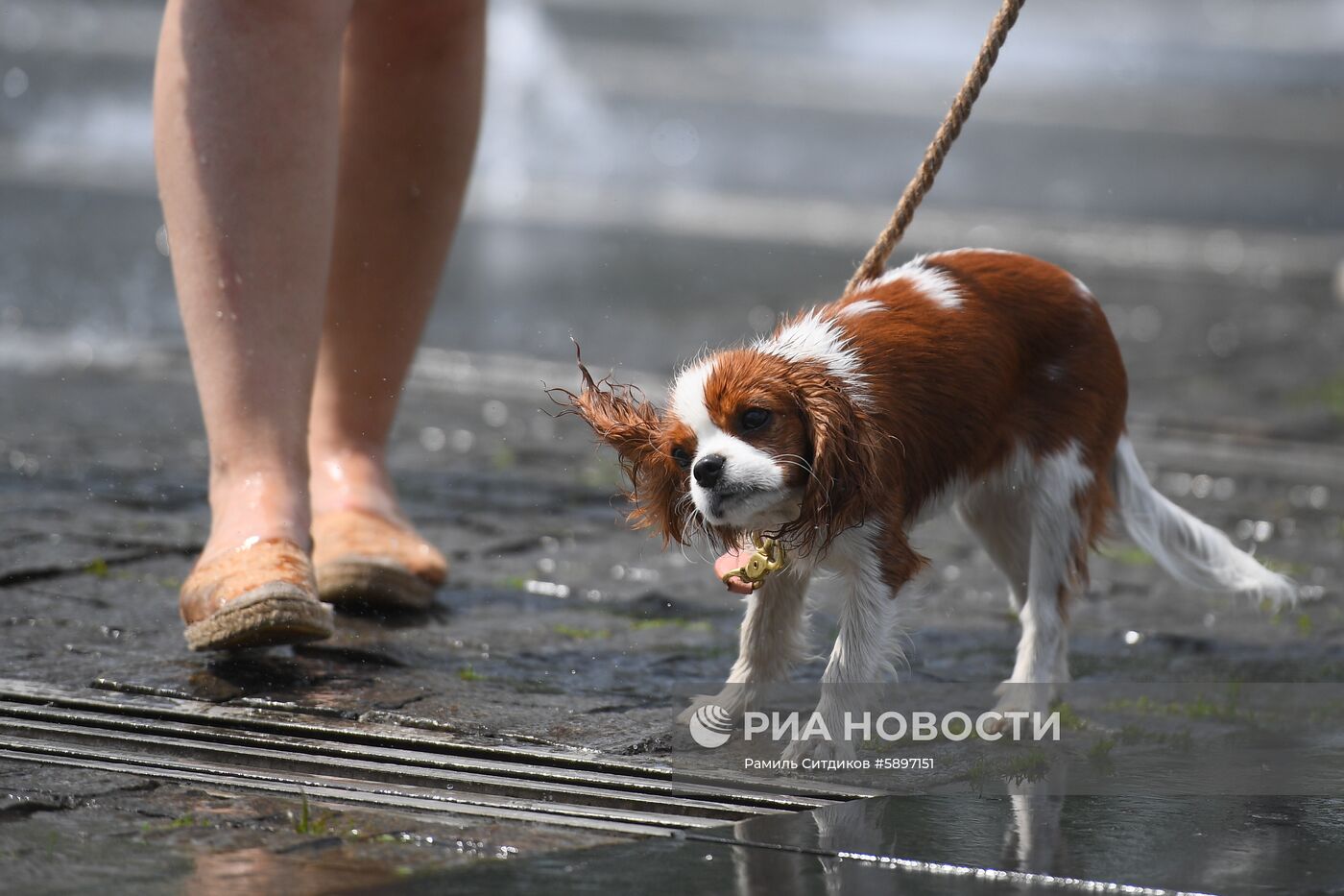 Жара в Москве
